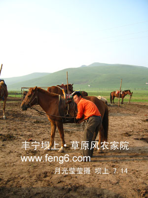 草原风农家院老刘的儿子 骑马好手 有喜欢马的朋友可以找他 刘红军 手机13731427494