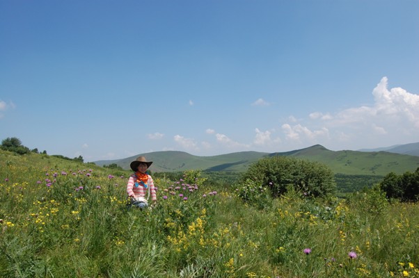Elephant:2010美丽的丰宁坝上