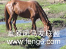 马