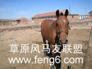 马